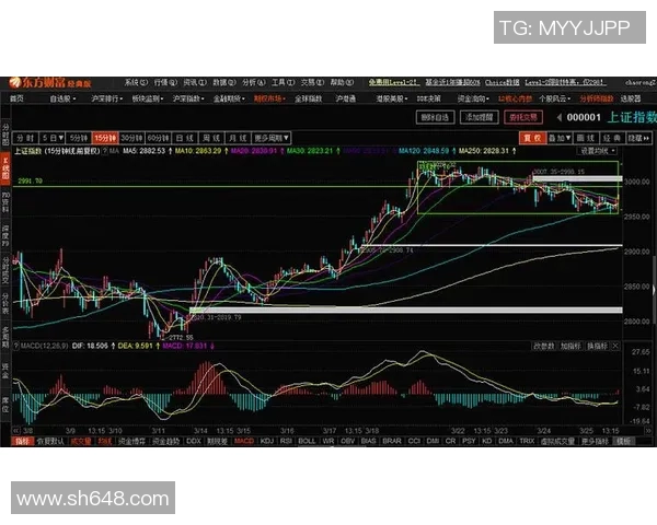 成都与深圳羽毛球队赛后复盘分析比赛节奏与战术对决
