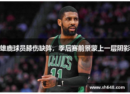 雄鹿球员膝伤缺阵，季后赛前景蒙上一层阴影
